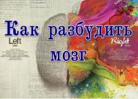 Как разбудить мозг