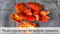 Лечение водным настоем сухих корок плода граната