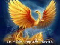 Прогноз на 2014 год — год Жар-птицы! — Чудесный год!