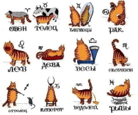 10 Принципов каждого знака зодиака