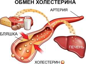 Как снизить холестерин в крови народными средствами