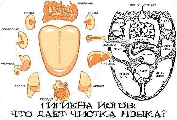 Что дает чистка языка