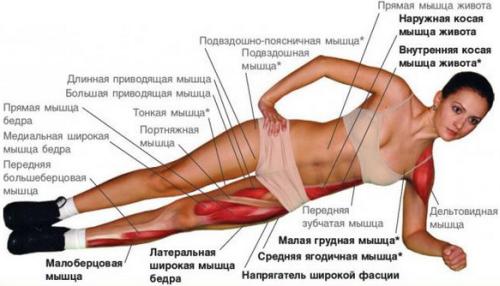 Планка - одно упражнение для всех мышц