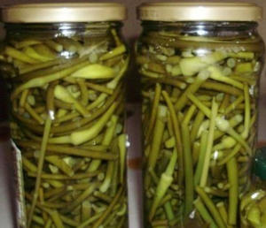 Чеснок (Стрелки чеснока) консервированный