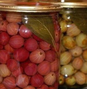 10 рецептов из крыжовника