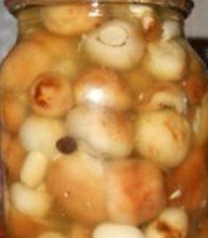 Маринованные маслята на зиму