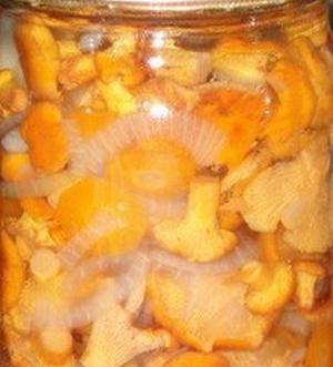 Лисички маринованные