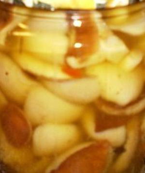 Маслята маринованные с горчицей